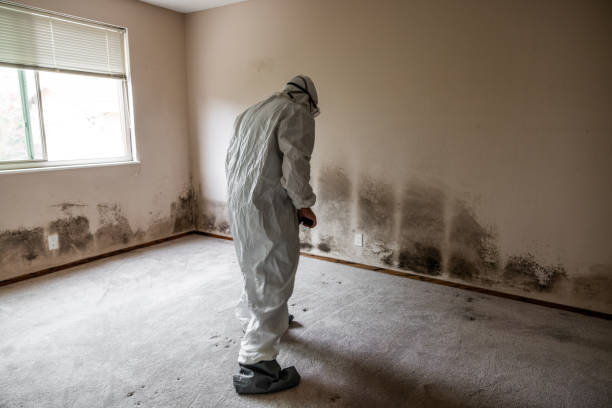 Best Crawl Space Mold Removal  in Andale, KS